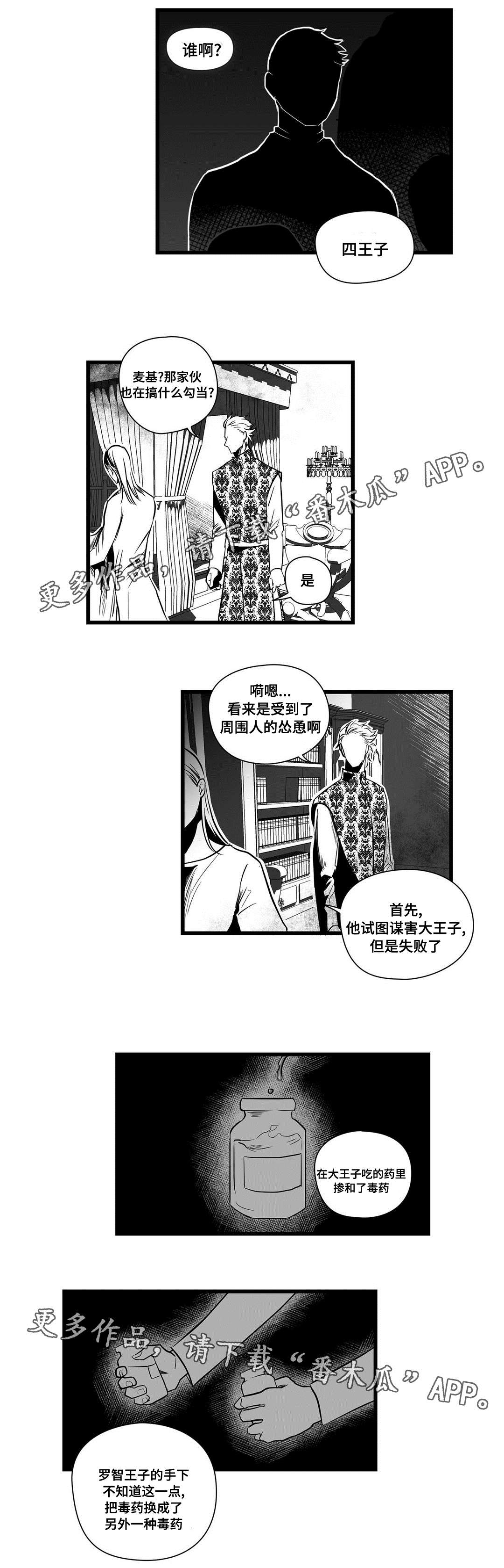《巫师与王子》第13章四王子 第8页