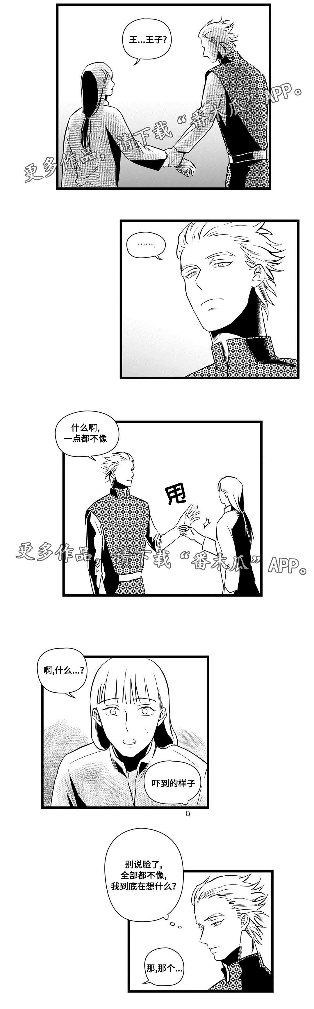 《巫师与王子》第15章迷住 第1页