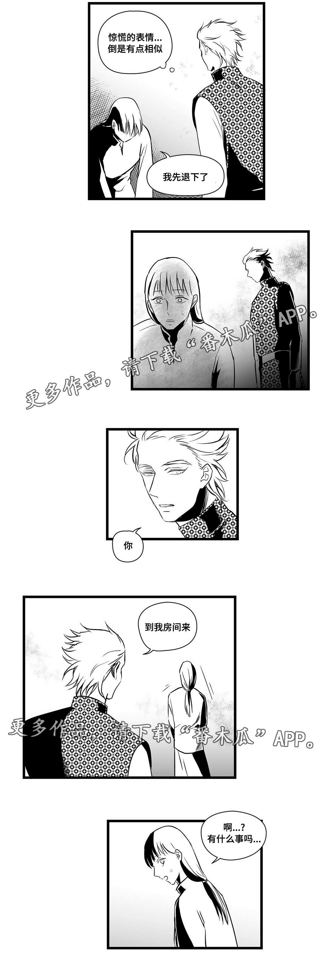 《巫师与王子》第15章迷住 第2页