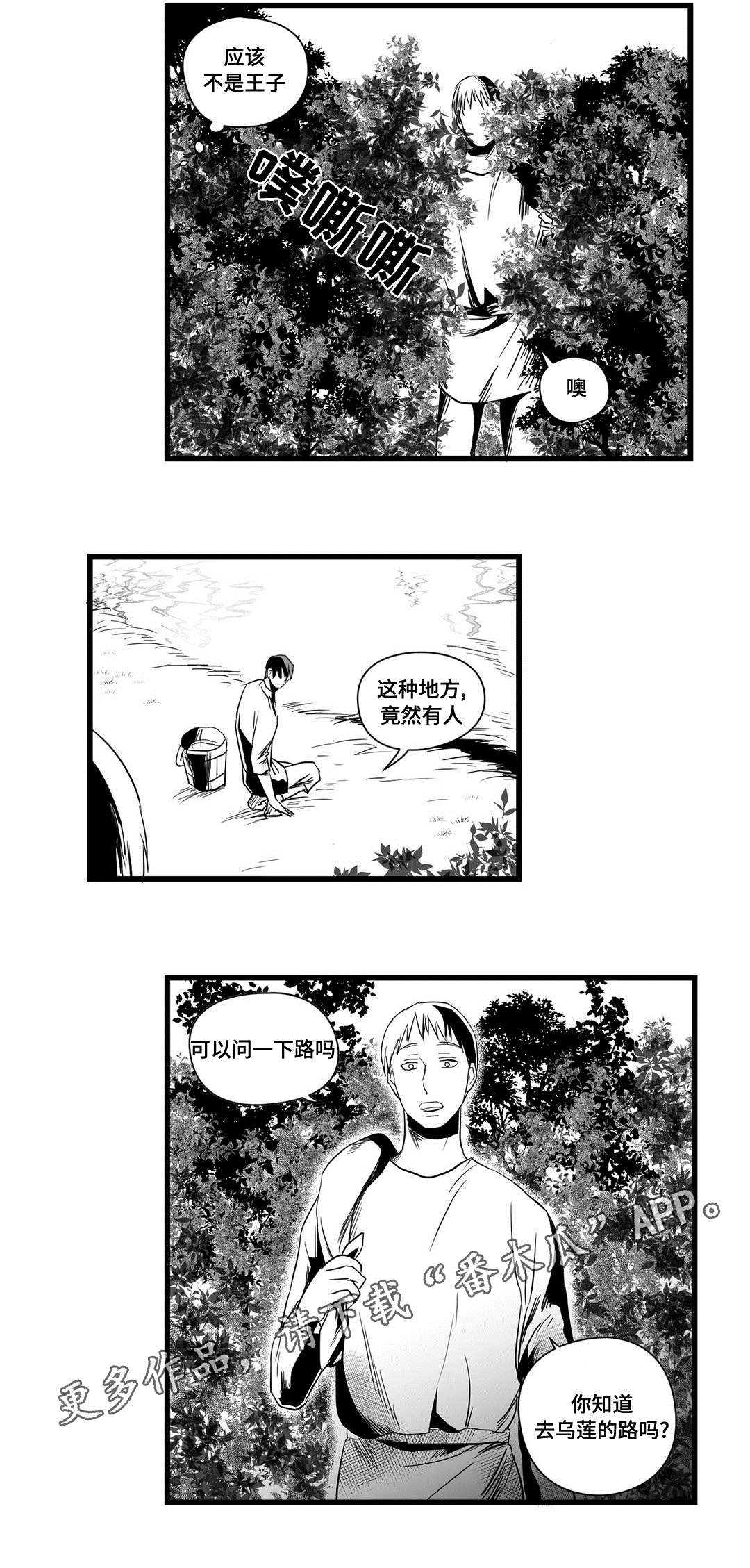 《巫师与王子》第16章分神 第10页