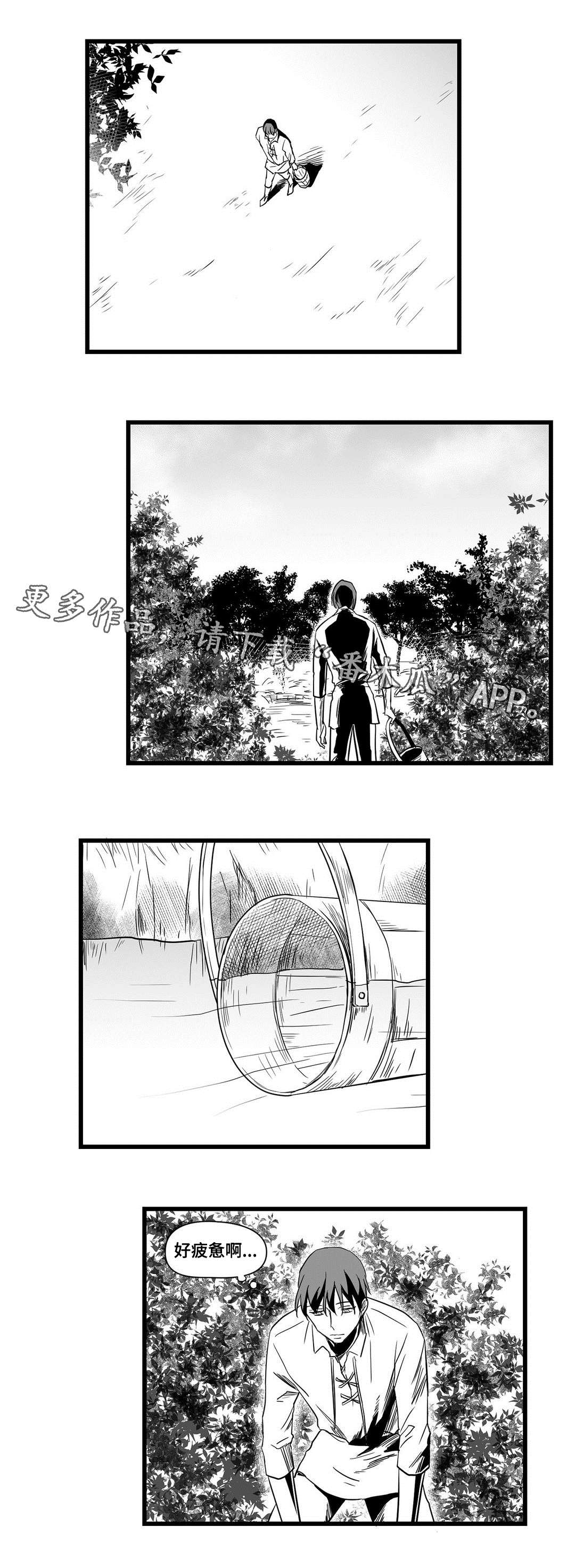 《巫师与王子》第16章分神 第6页