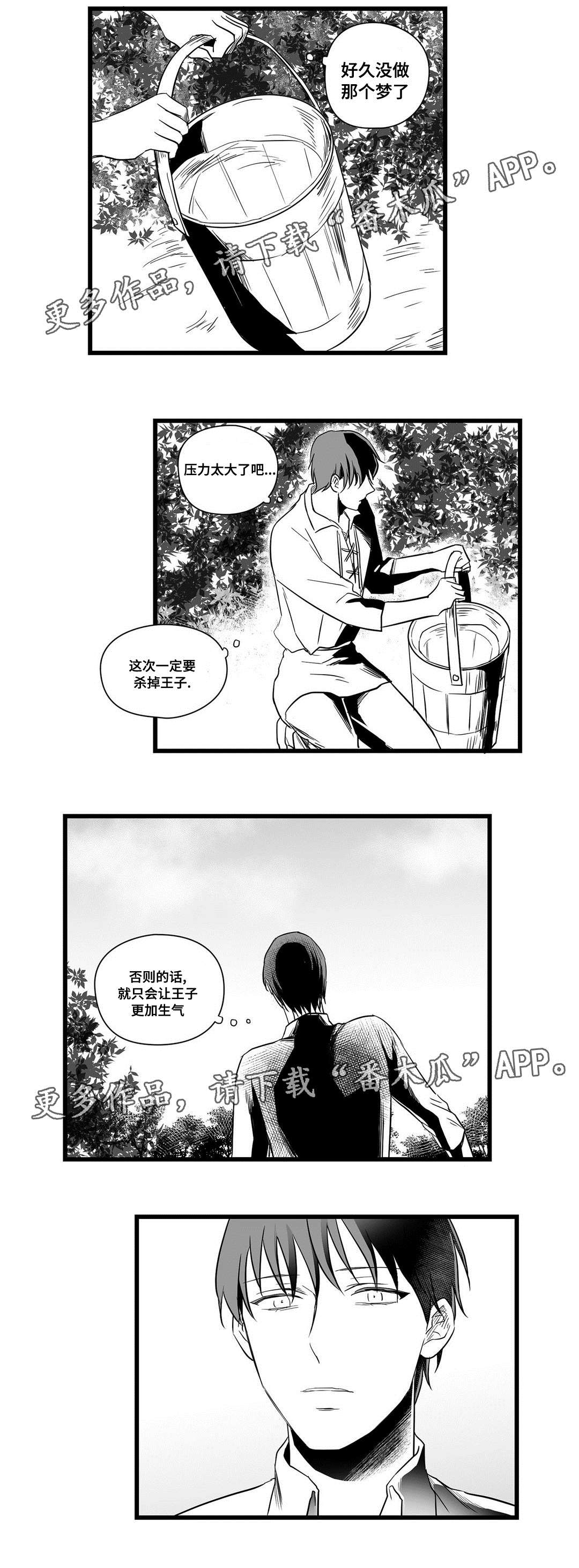 《巫师与王子》第16章分神 第7页