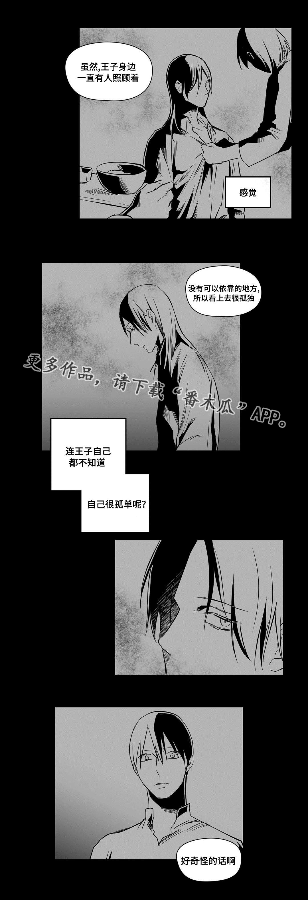 《巫师与王子》第18章痛苦 第13页