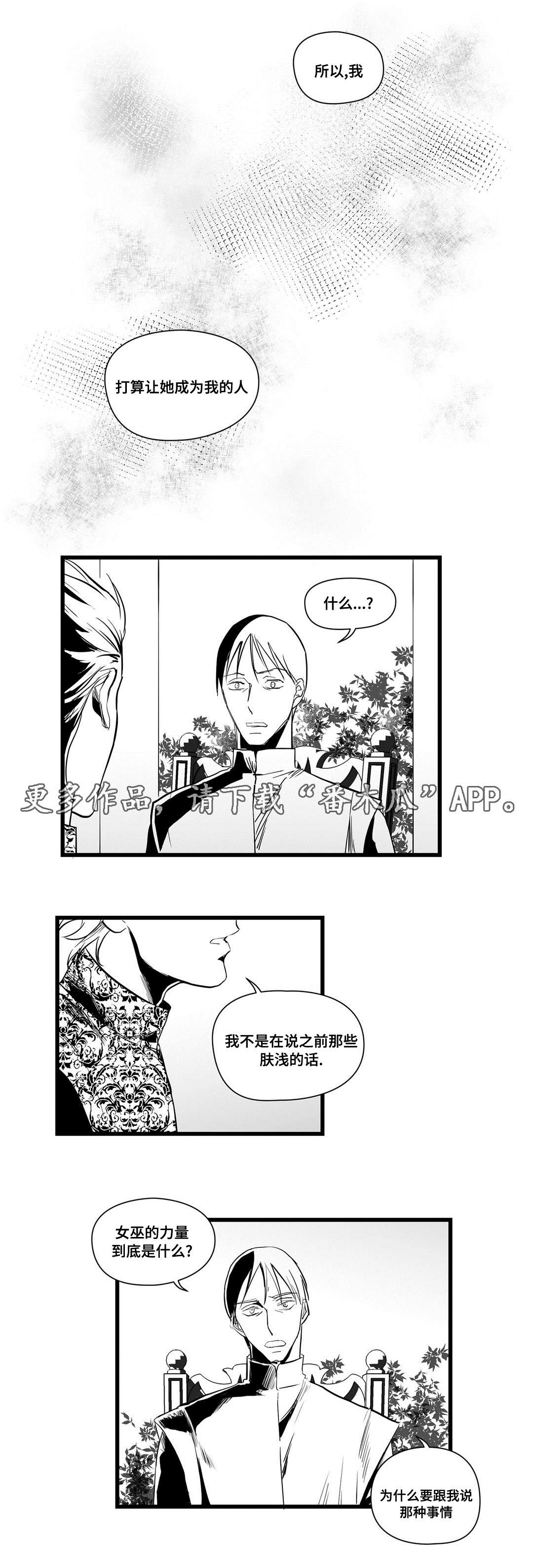 《巫师与王子》第18章痛苦 第8页