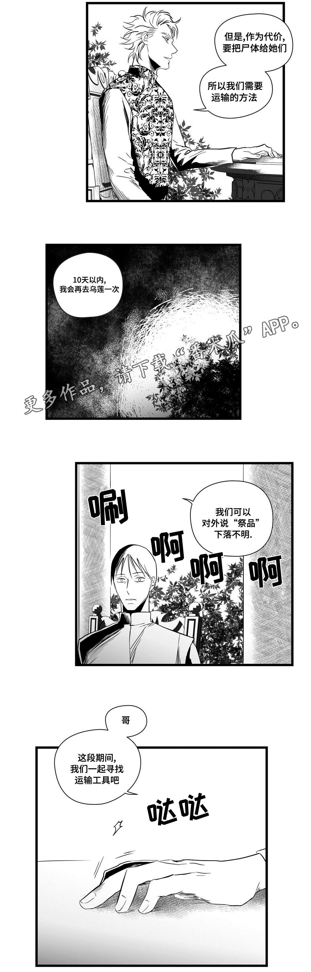 《巫师与王子》第20章祭品 第10页