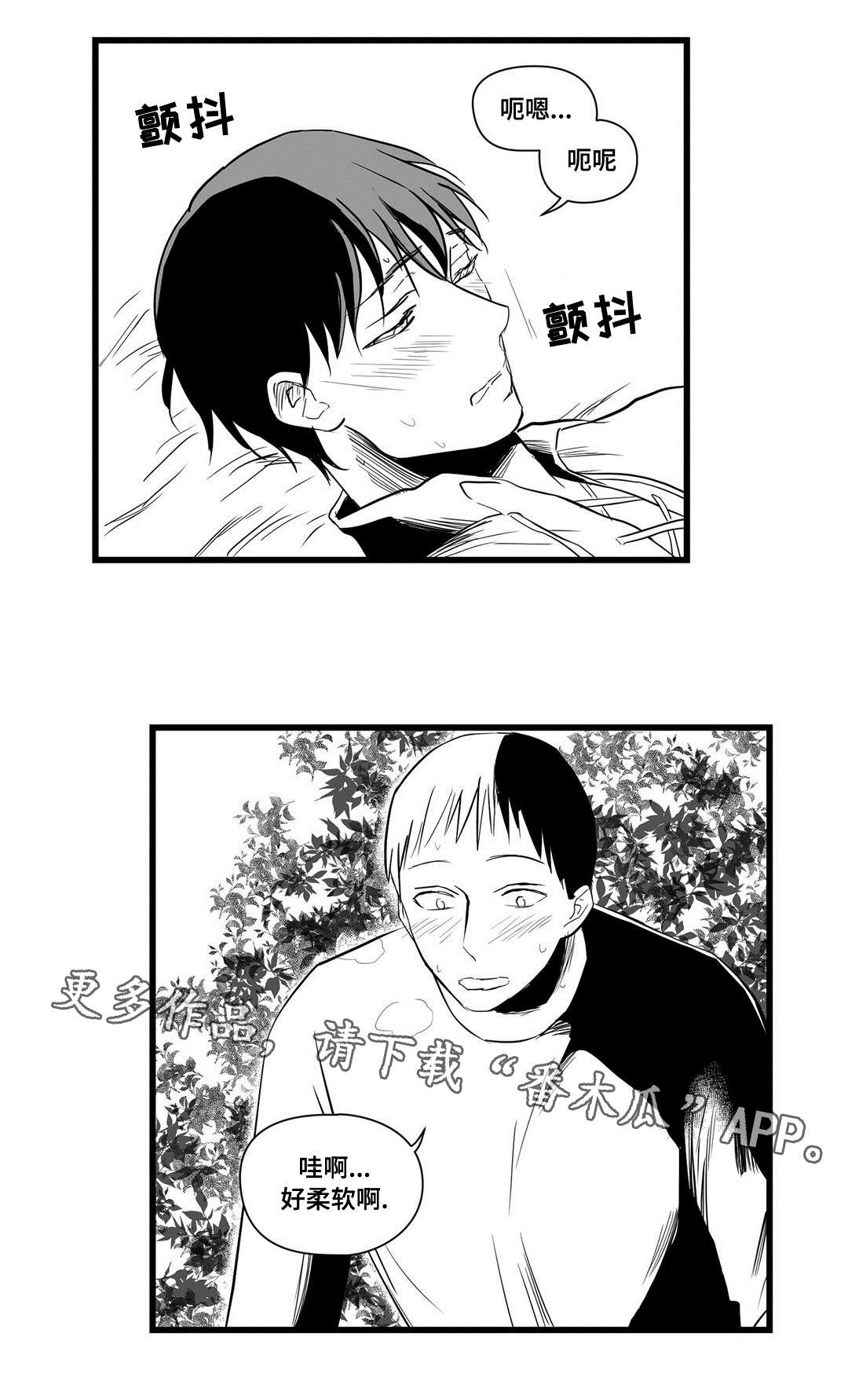 《巫师与王子》第20章祭品 第13页