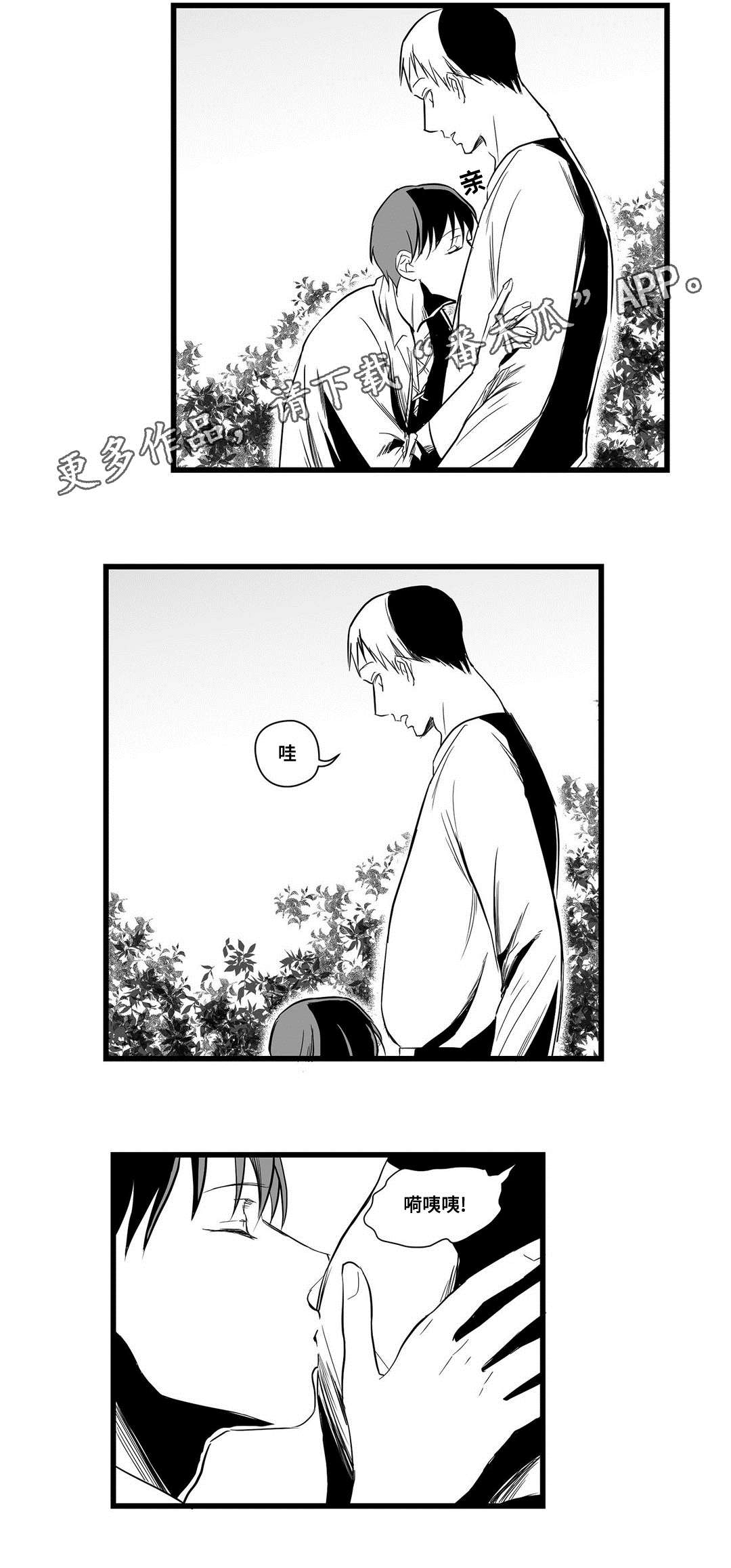 《巫师与王子》第20章祭品 第2页