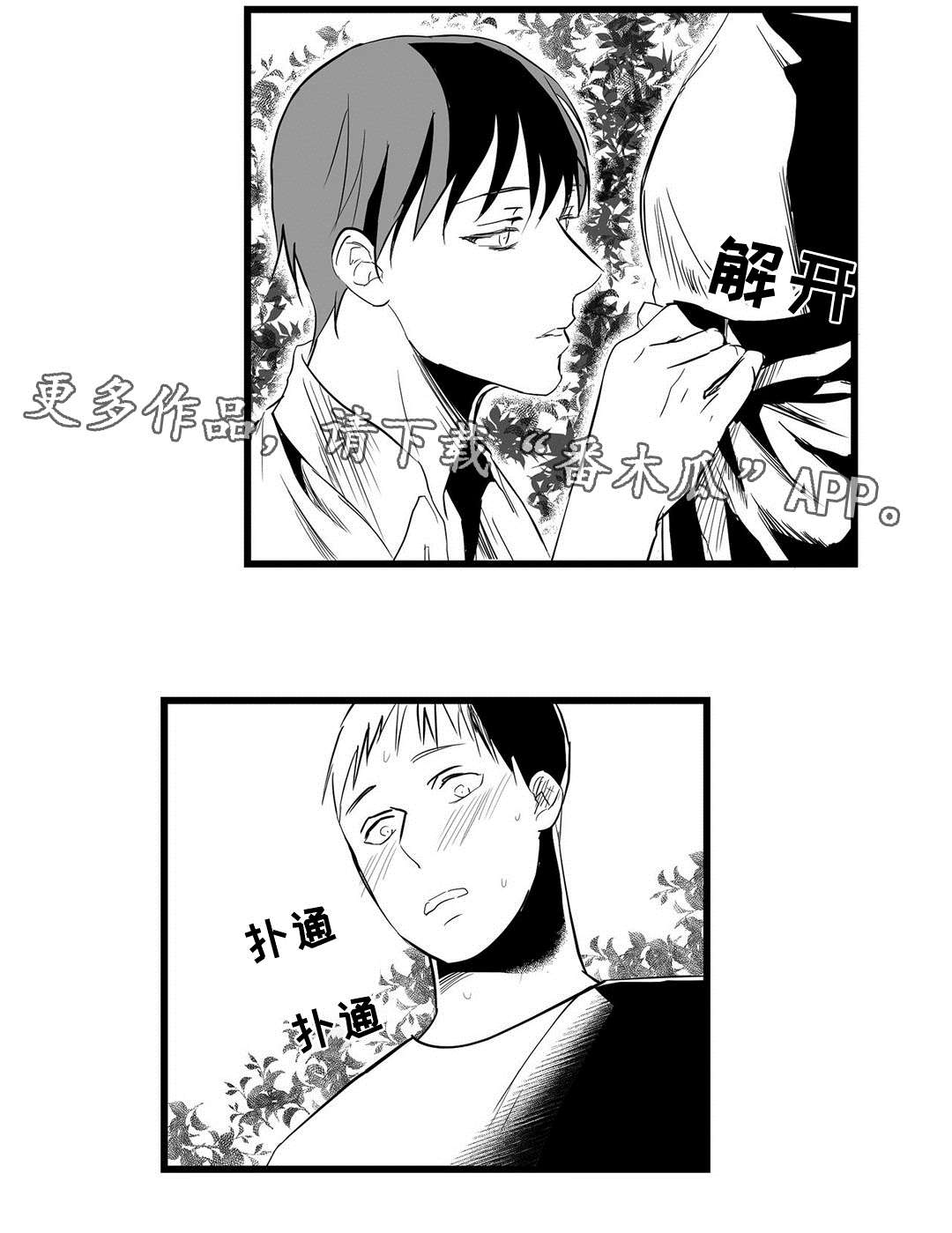 《巫师与王子》第20章祭品 第3页