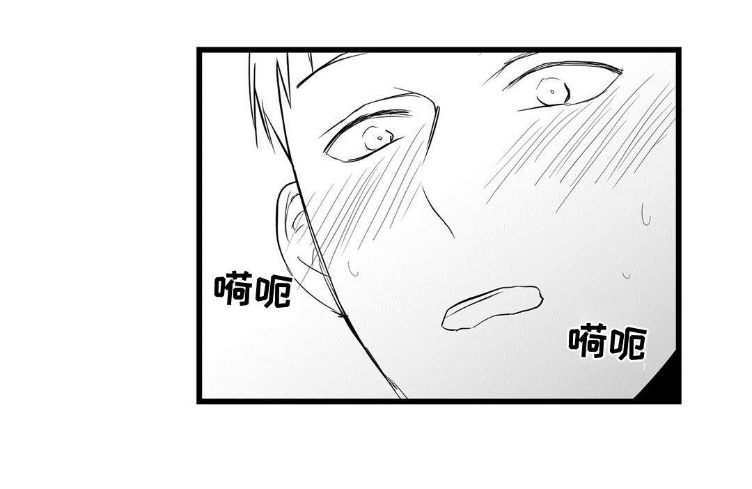 《巫师与王子》第20章祭品 第4页