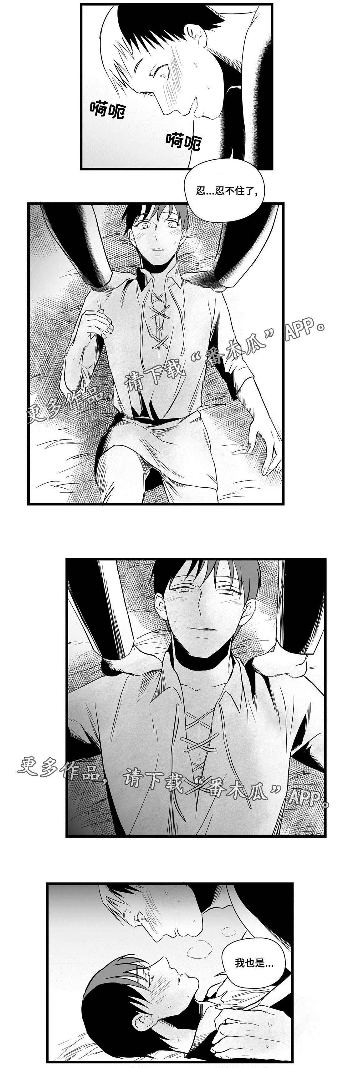 《巫师与王子》第20章祭品 第6页