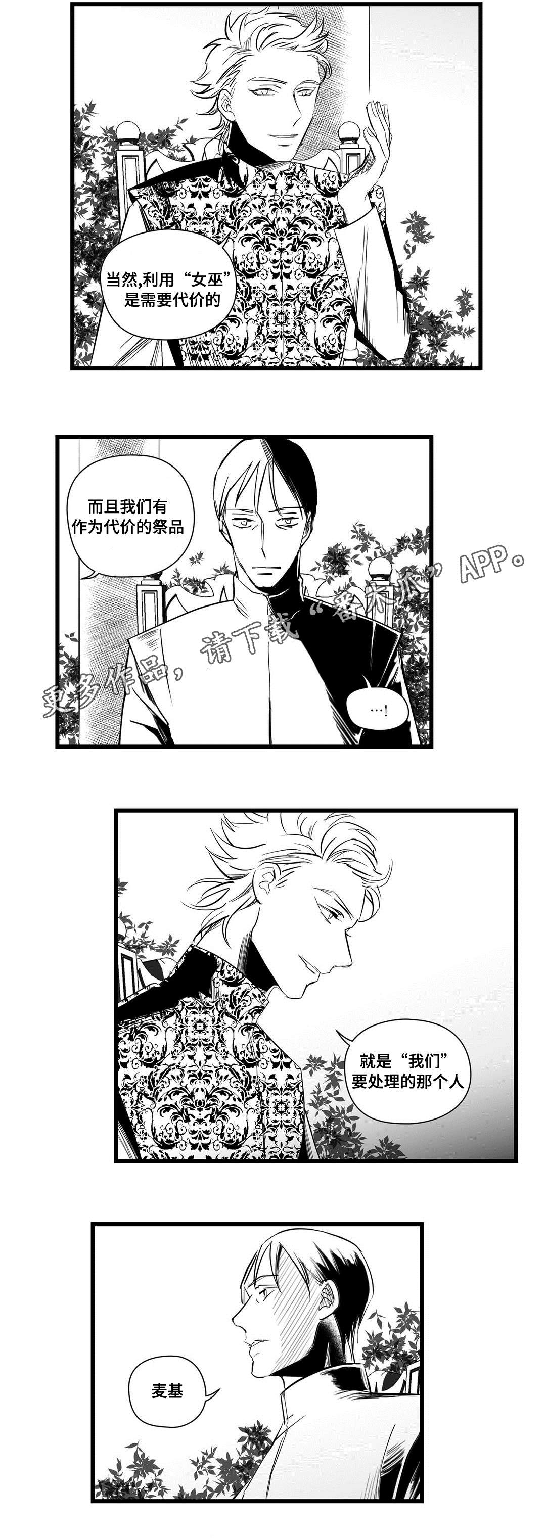 《巫师与王子》第20章祭品 第8页