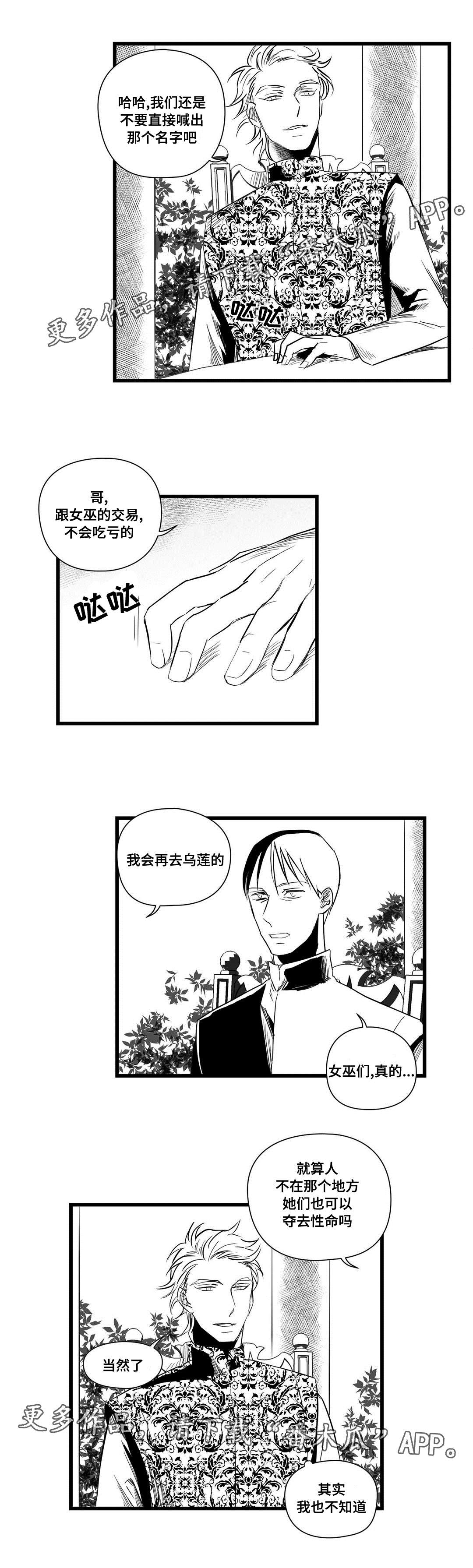 《巫师与王子》第20章祭品 第9页
