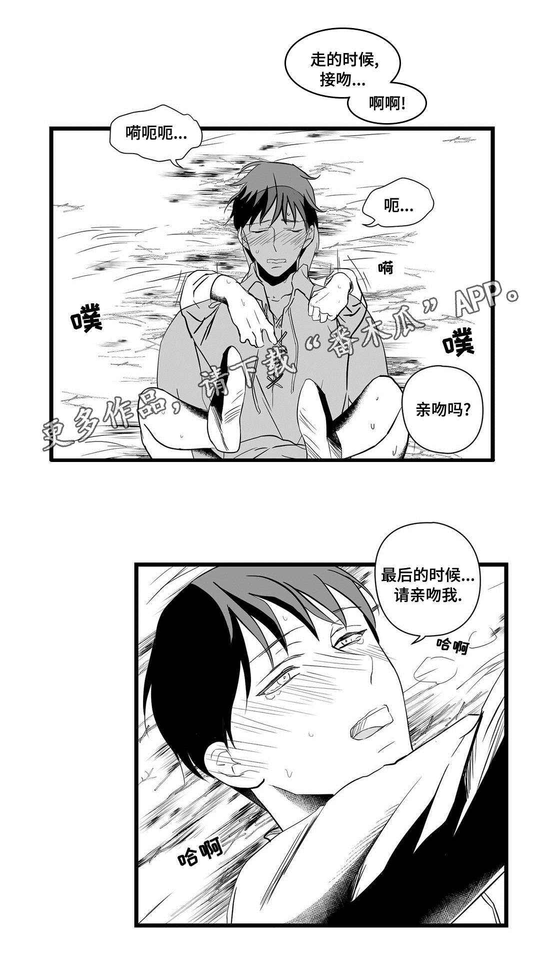 《巫师与王子》第21章合作 第11页