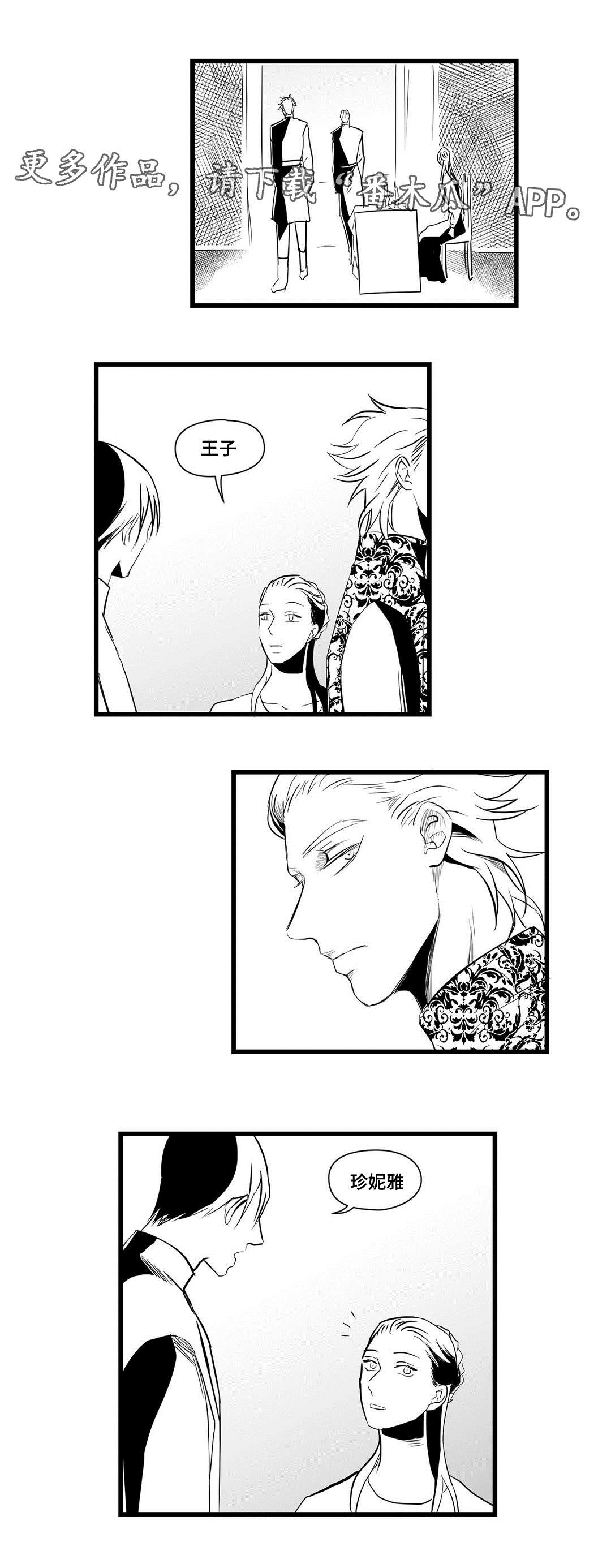 《巫师与王子》第21章合作 第1页