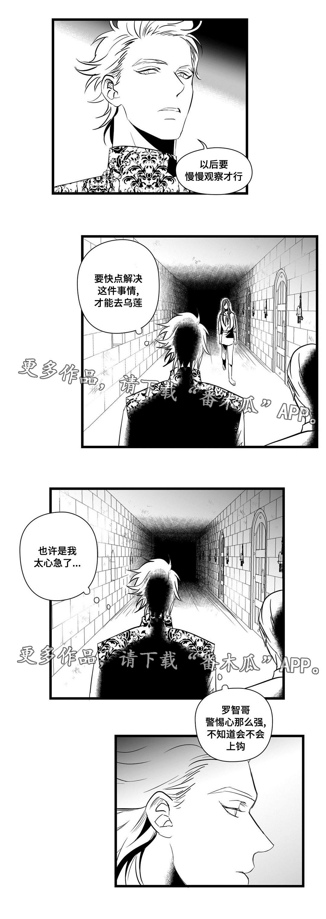 《巫师与王子》第21章合作 第3页
