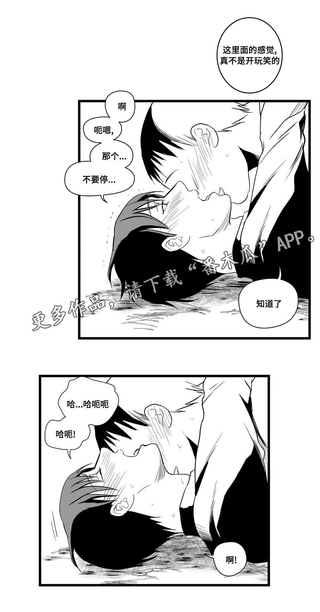 《巫师与王子》第21章合作 第7页
