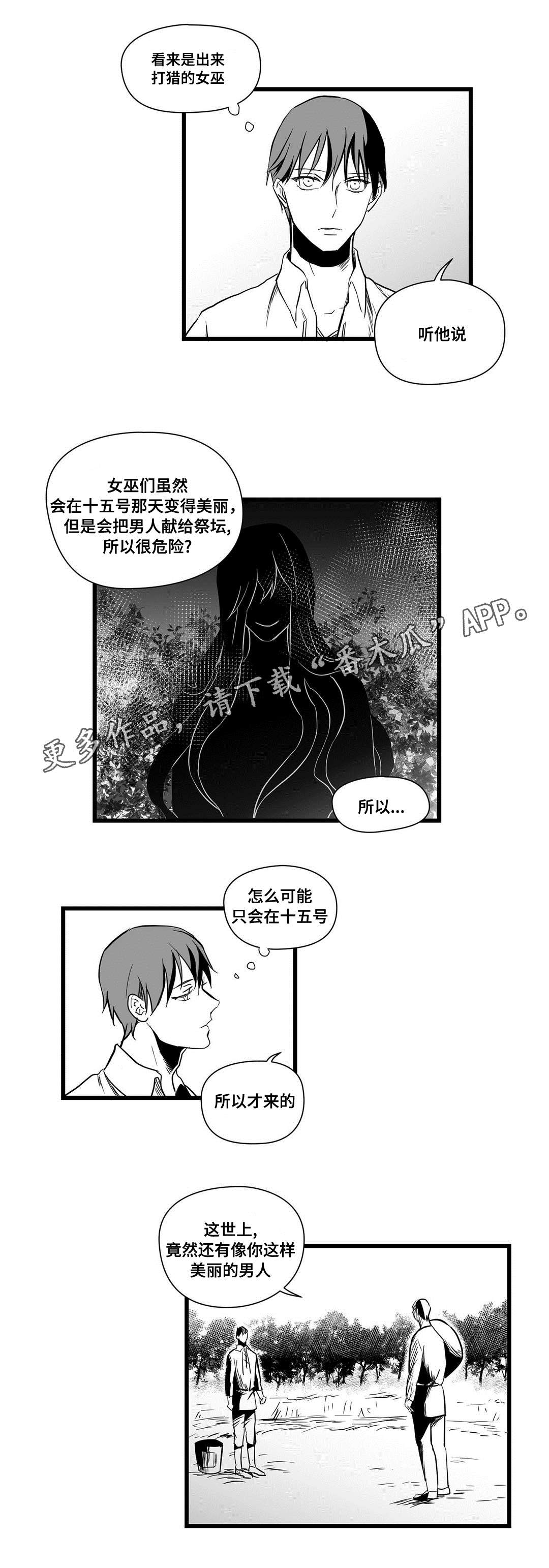 《巫师与王子》第19章打猎 第8页
