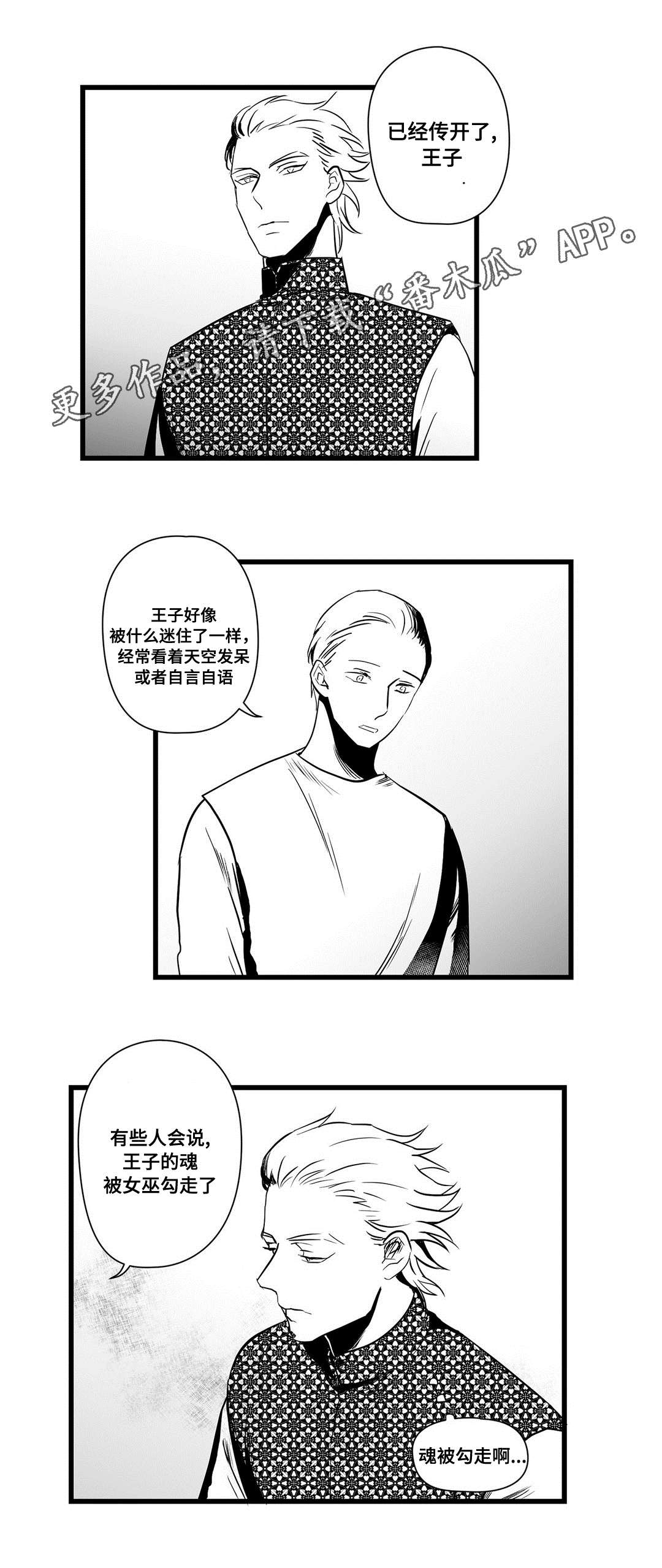 《巫师与王子》第22章确认 第9页