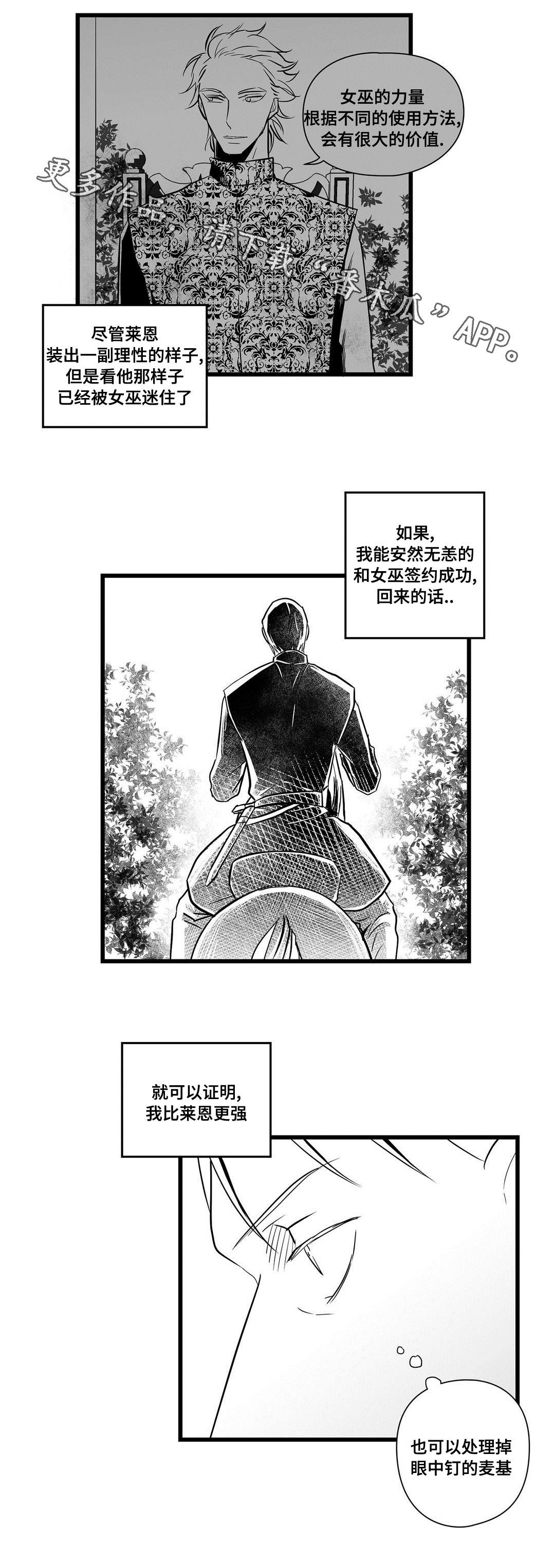 《巫师与王子》第23章证明 第8页