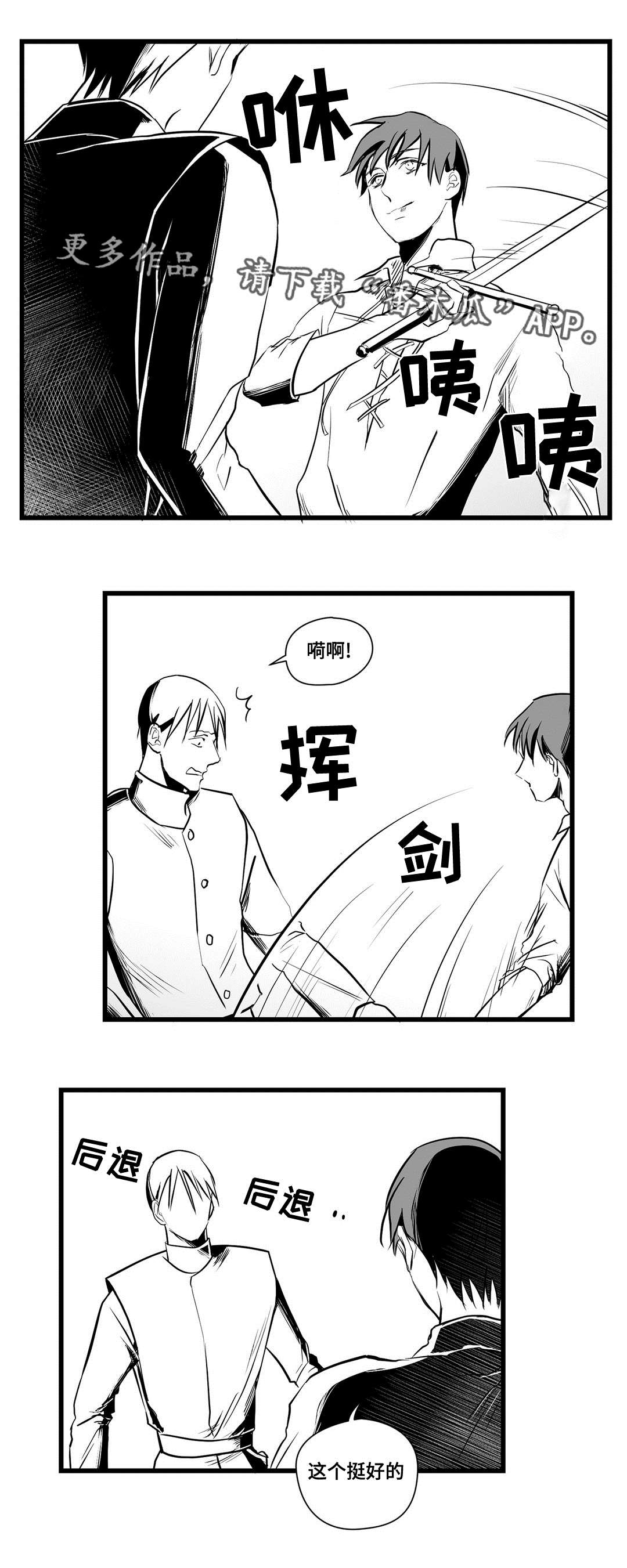 《巫师与王子》第24章诡异 第10页