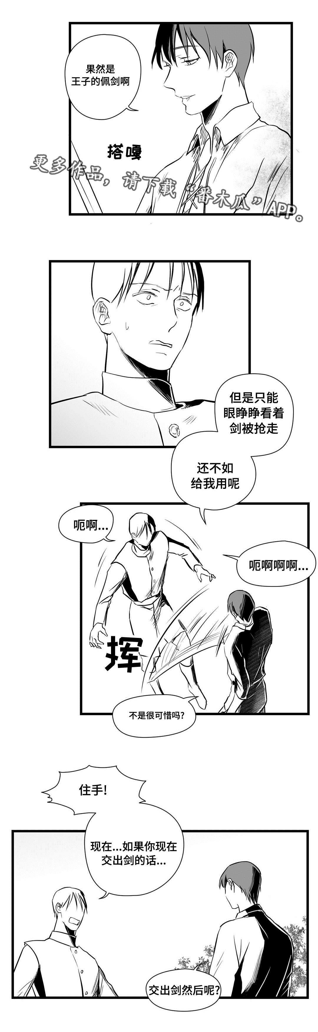 《巫师与王子》第24章诡异 第11页