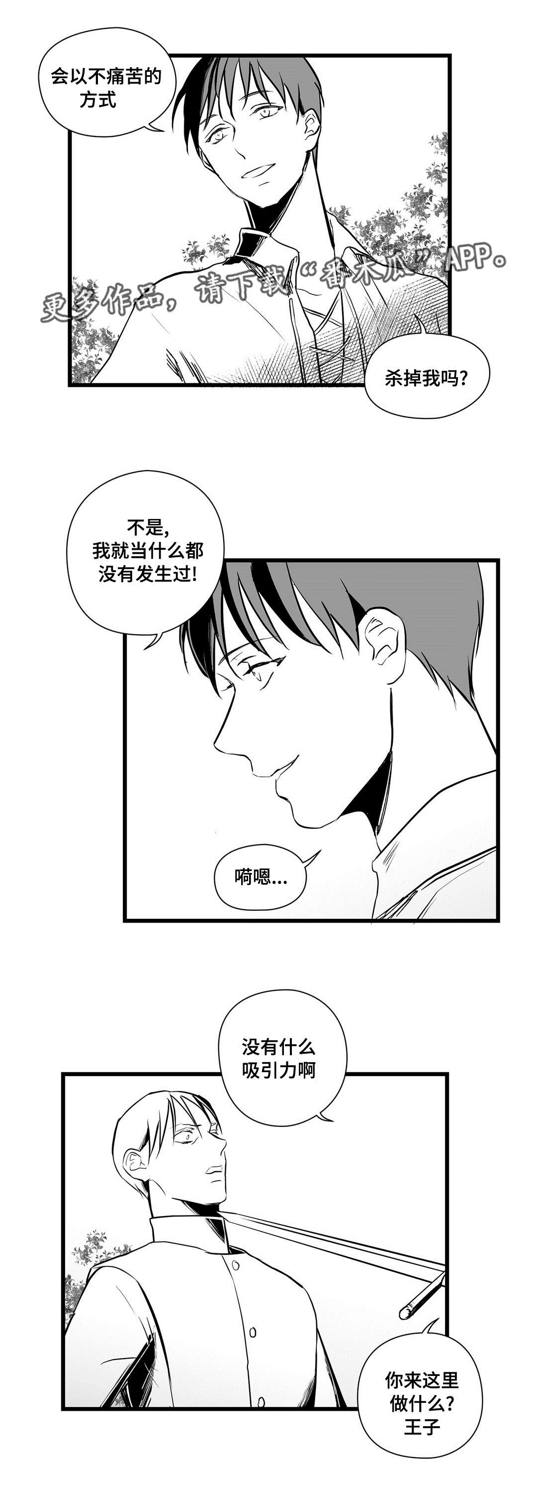 《巫师与王子》第24章诡异 第12页