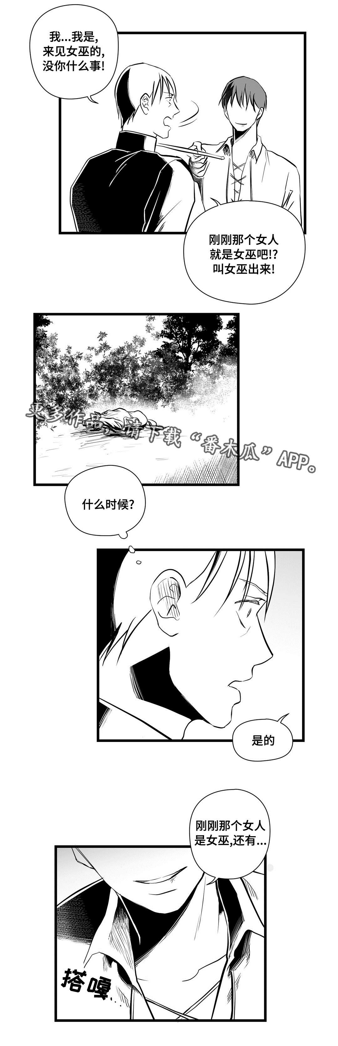 《巫师与王子》第24章诡异 第13页