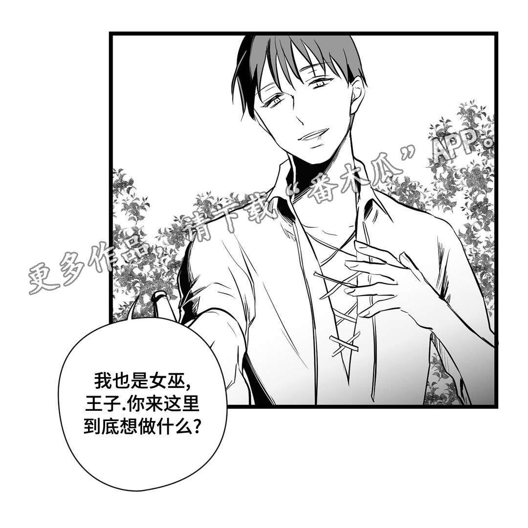 《巫师与王子》第24章诡异 第14页