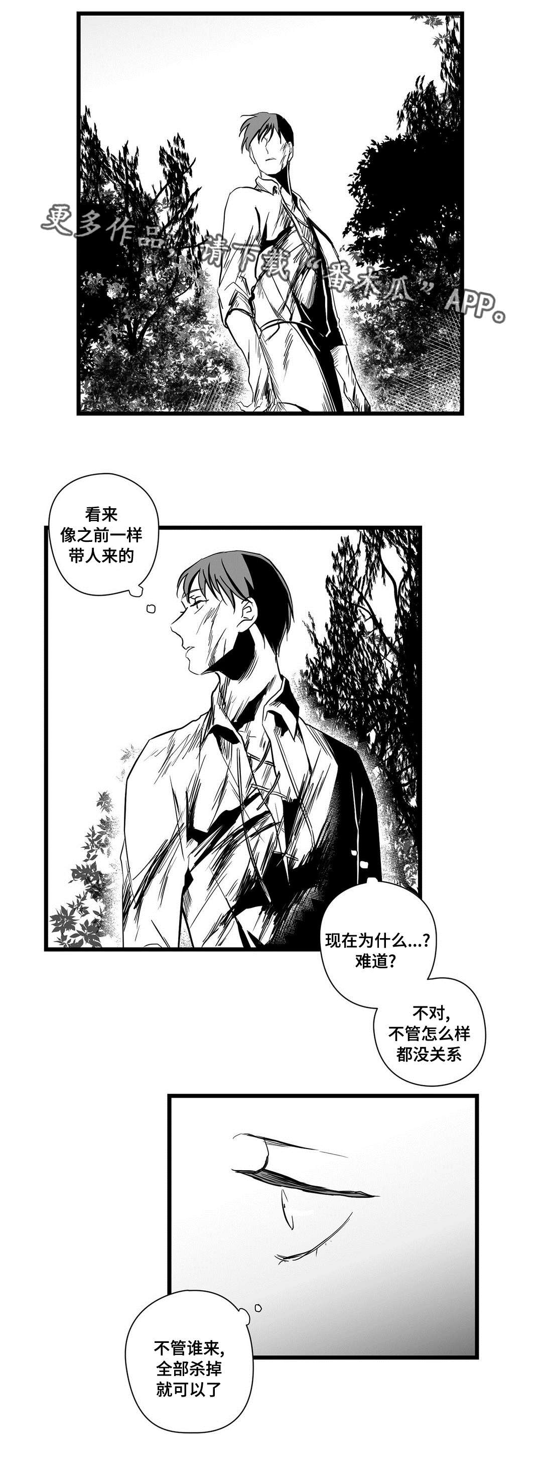 《巫师与王子》第24章诡异 第1页