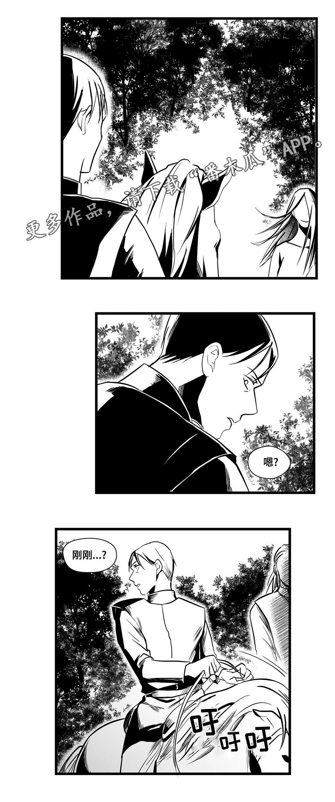 《巫师与王子》第24章诡异 第3页