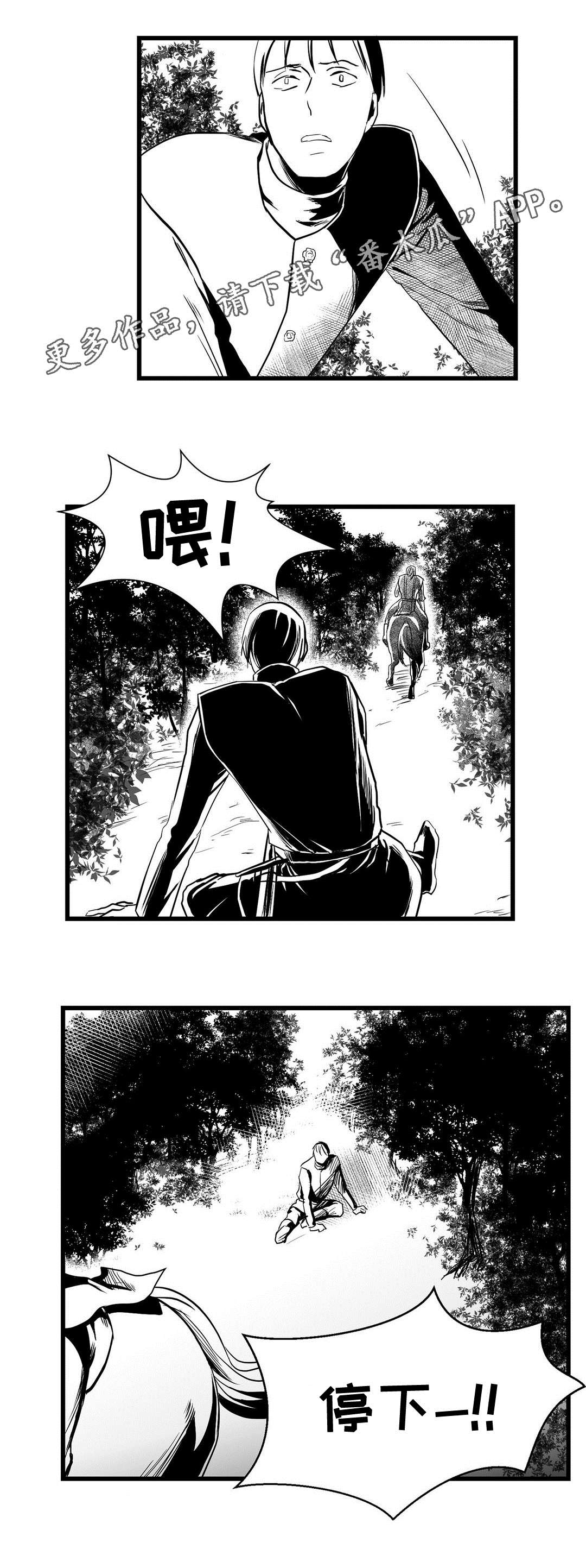 《巫师与王子》第24章诡异 第5页