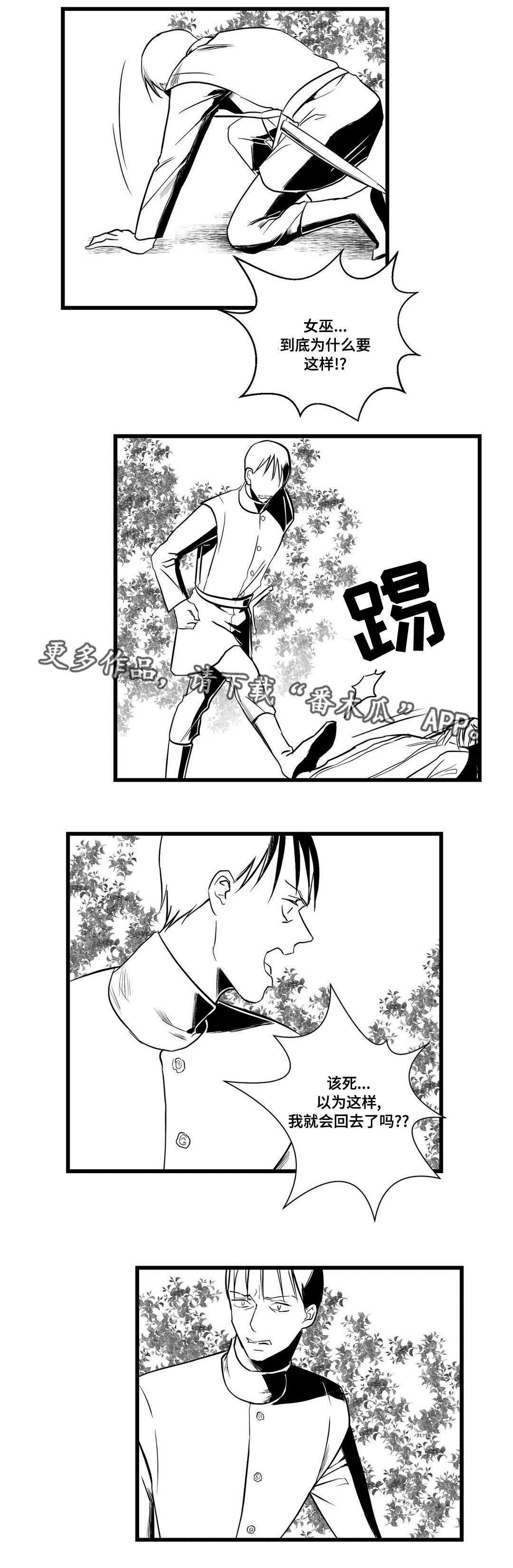 《巫师与王子》第26章吓唬 第11页