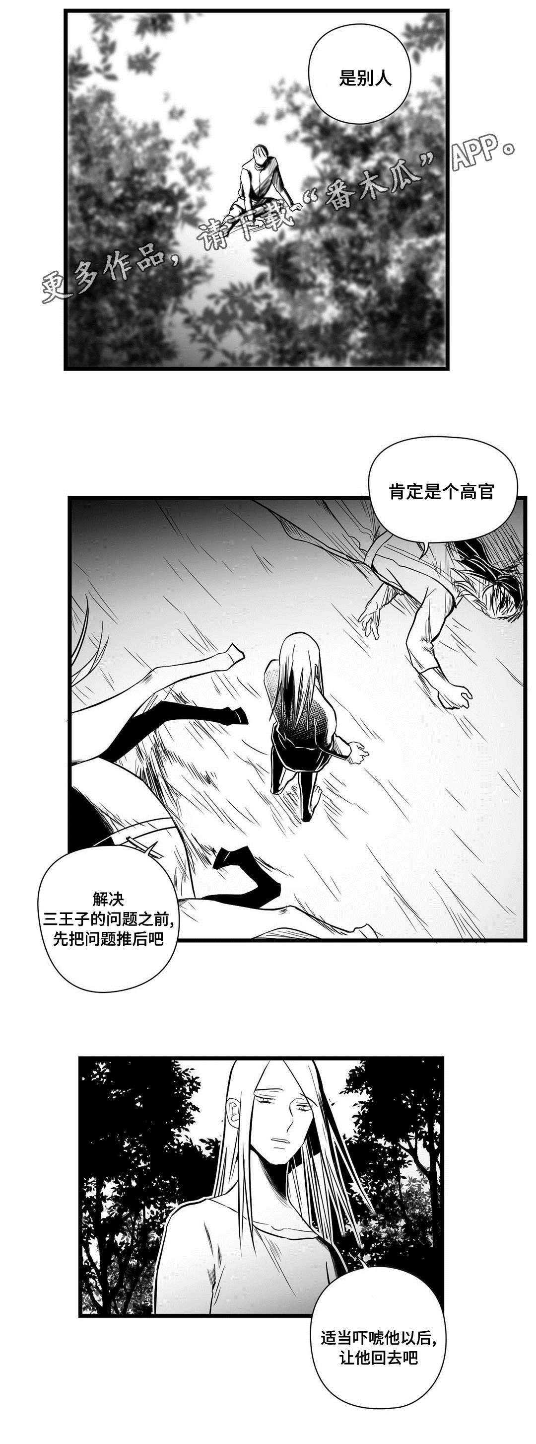 《巫师与王子》第26章吓唬 第2页