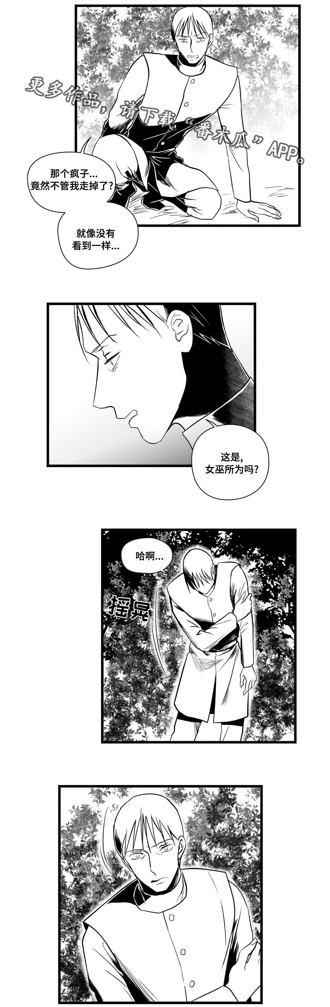 《巫师与王子》第26章吓唬 第5页
