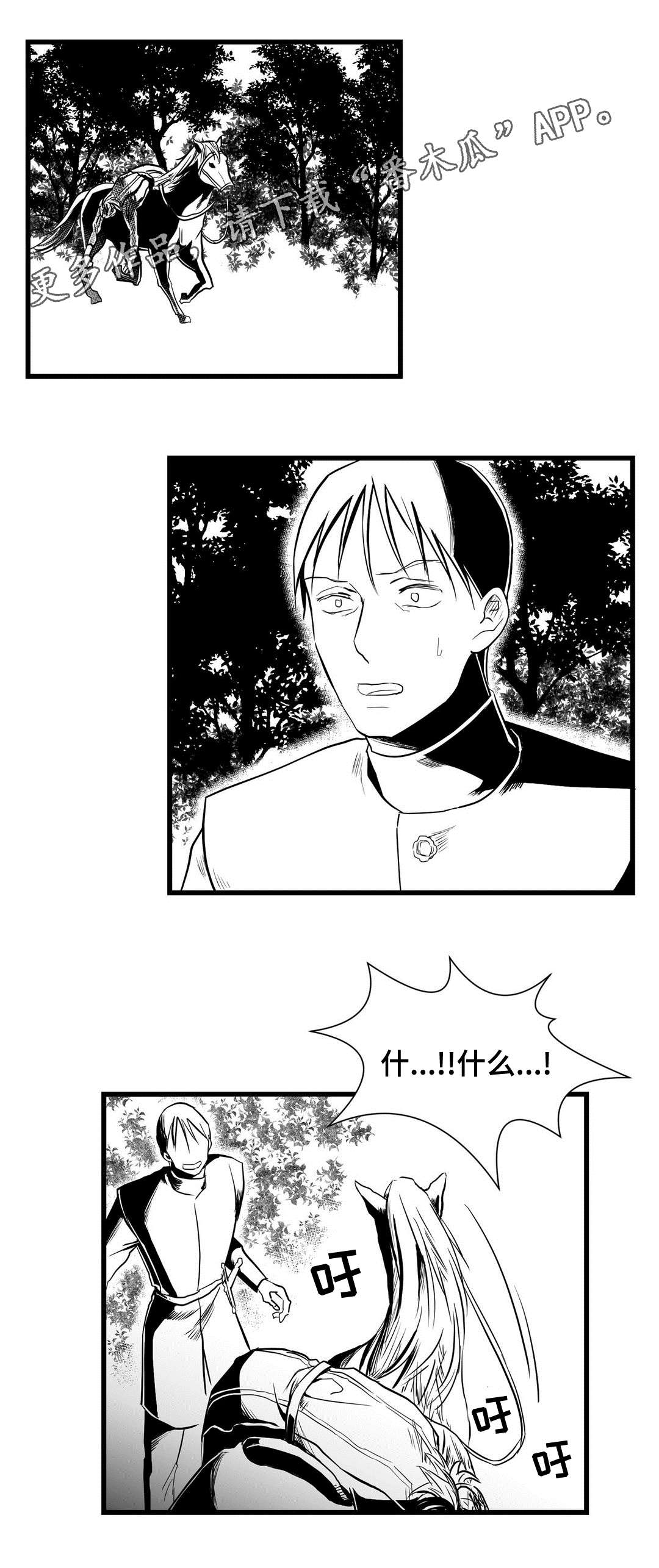 《巫师与王子》第26章吓唬 第6页