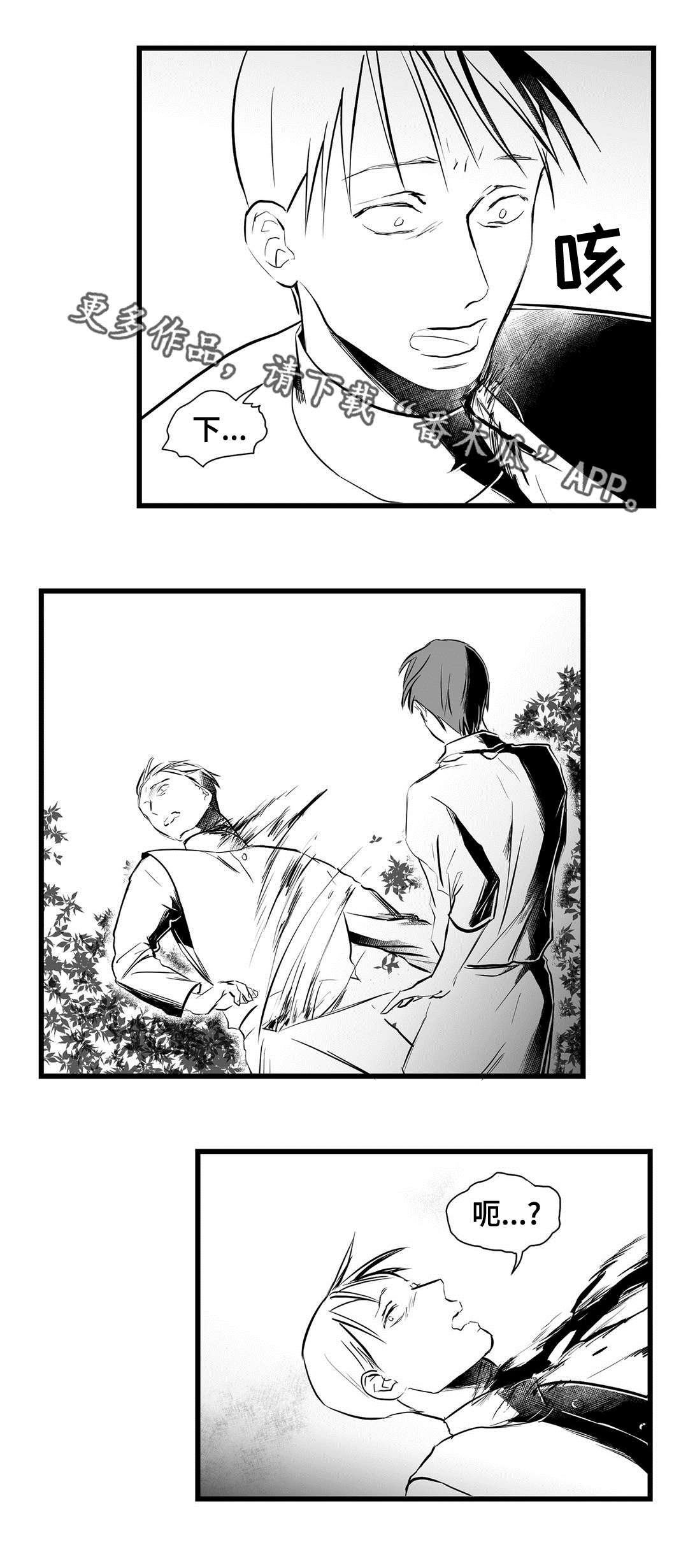《巫师与王子》第25章毒药 第11页