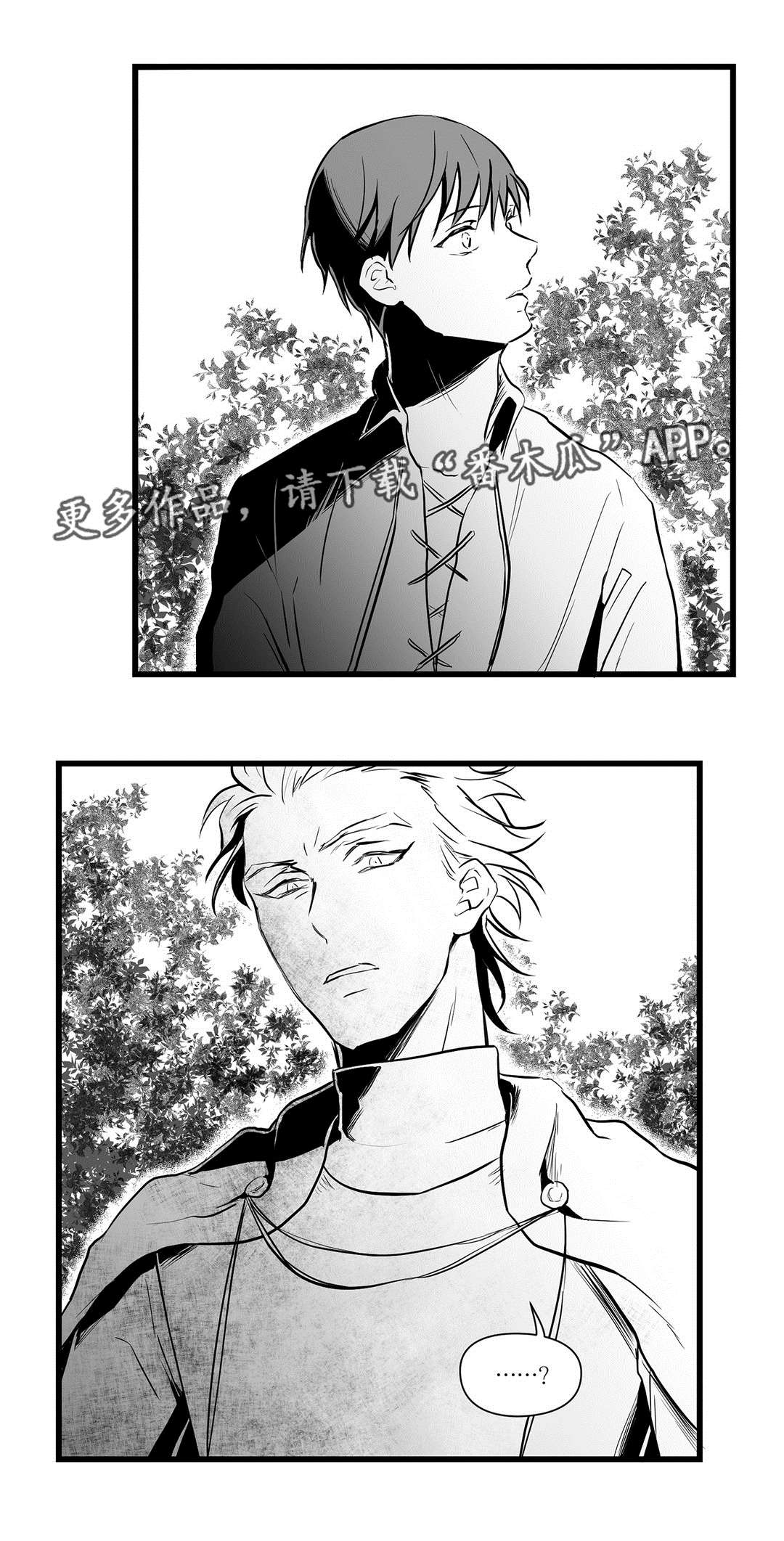 《巫师与王子》第25章毒药 第14页