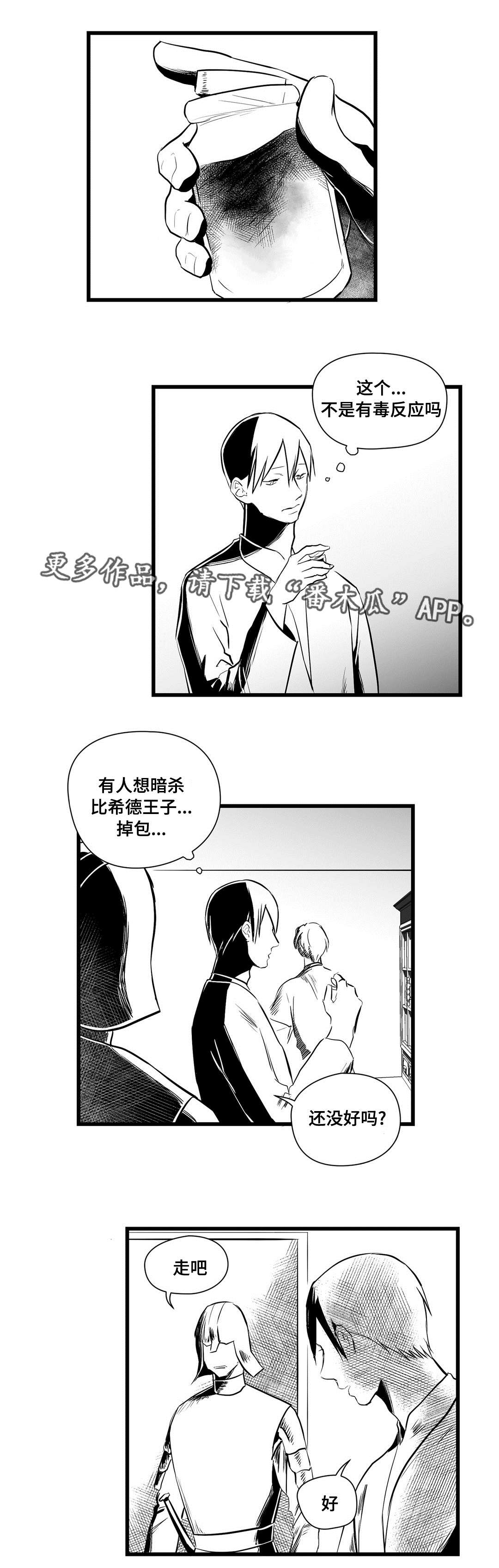 《巫师与王子》第25章毒药 第2页