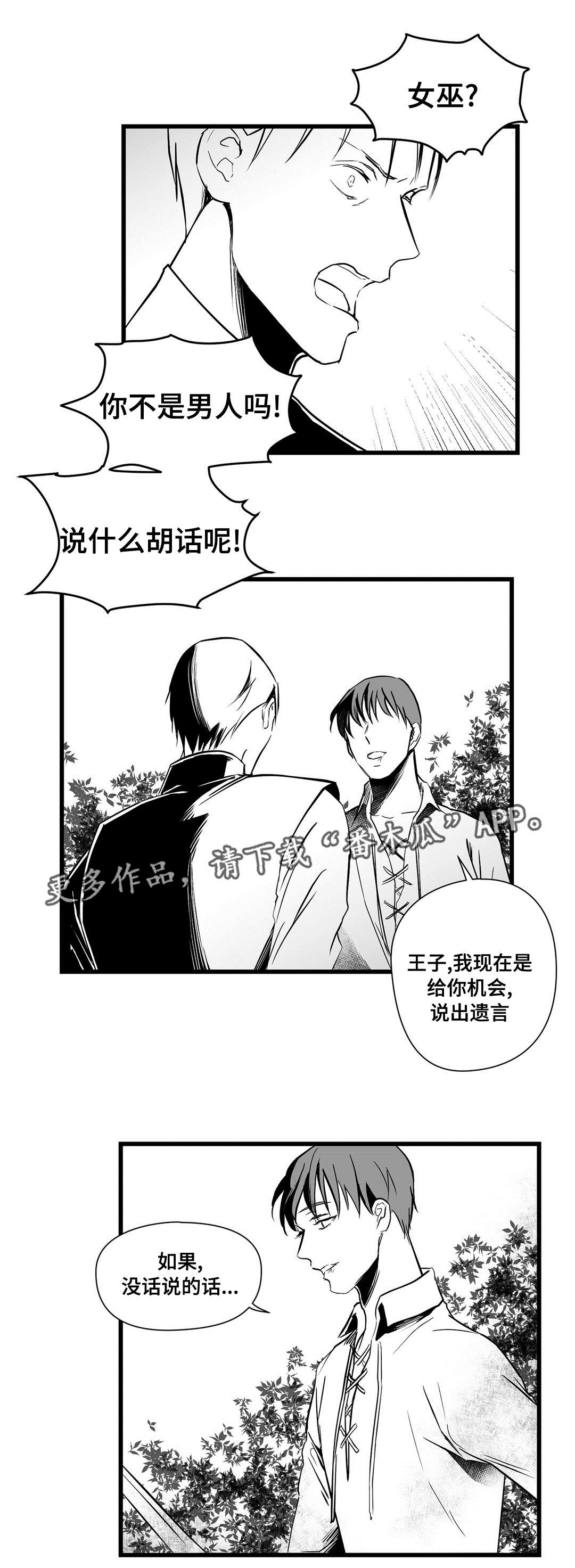 《巫师与王子》第25章毒药 第9页