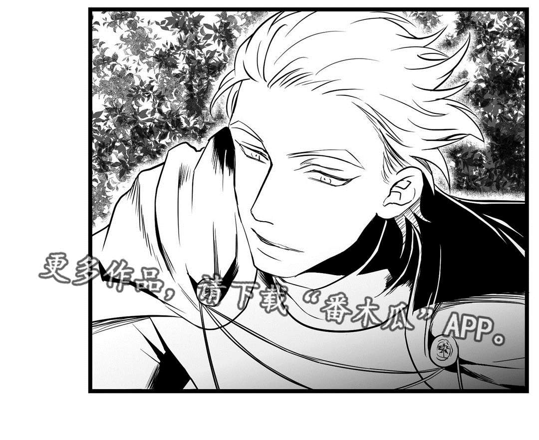 《巫师与王子》第27章犯人 第11页