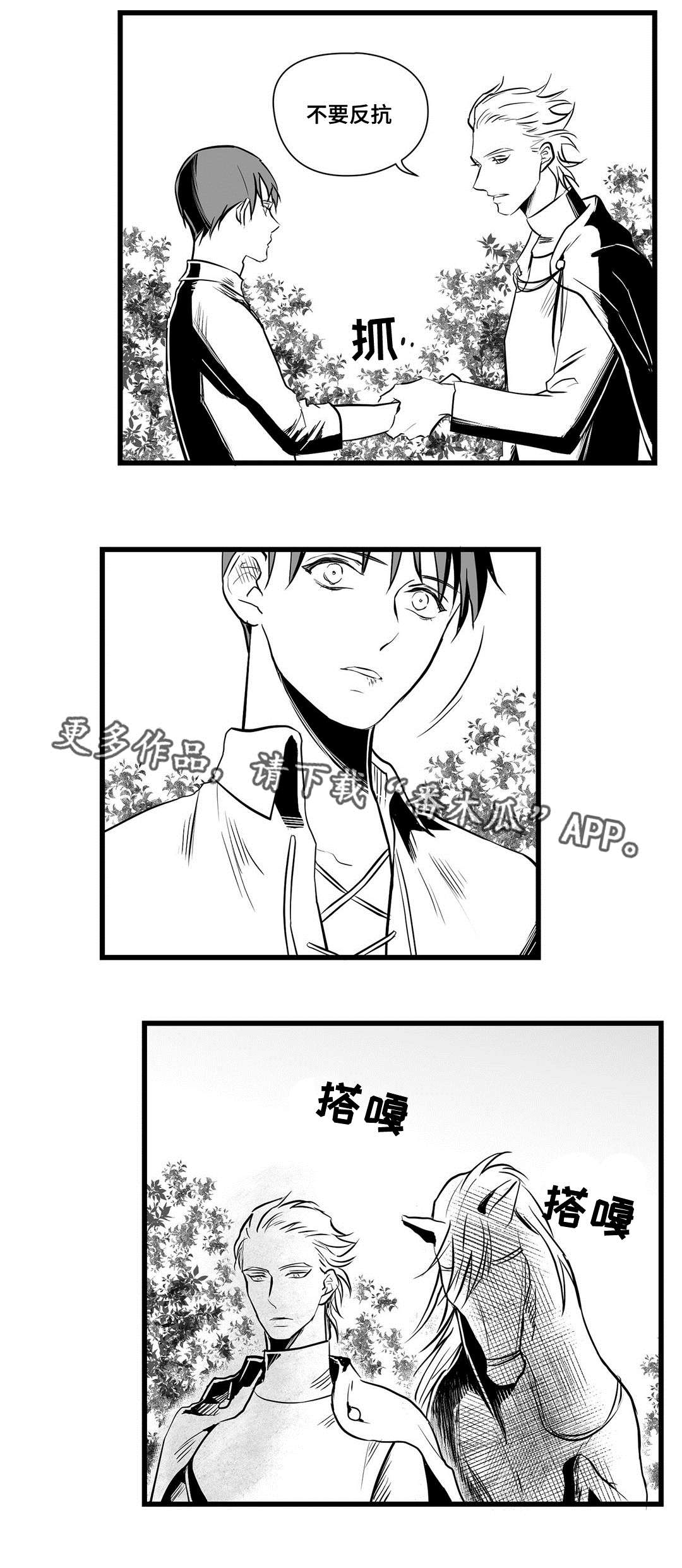 《巫师与王子》第27章犯人 第15页