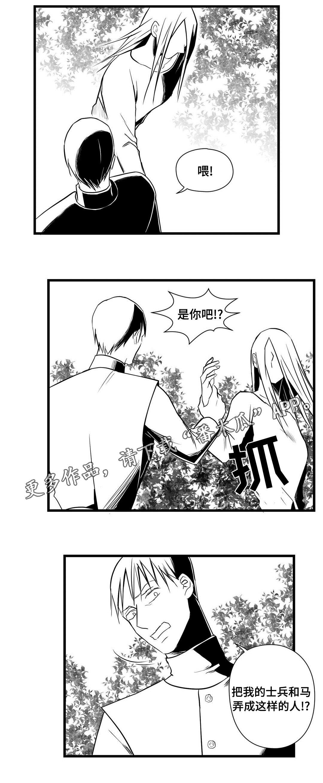 《巫师与王子》第27章犯人 第2页