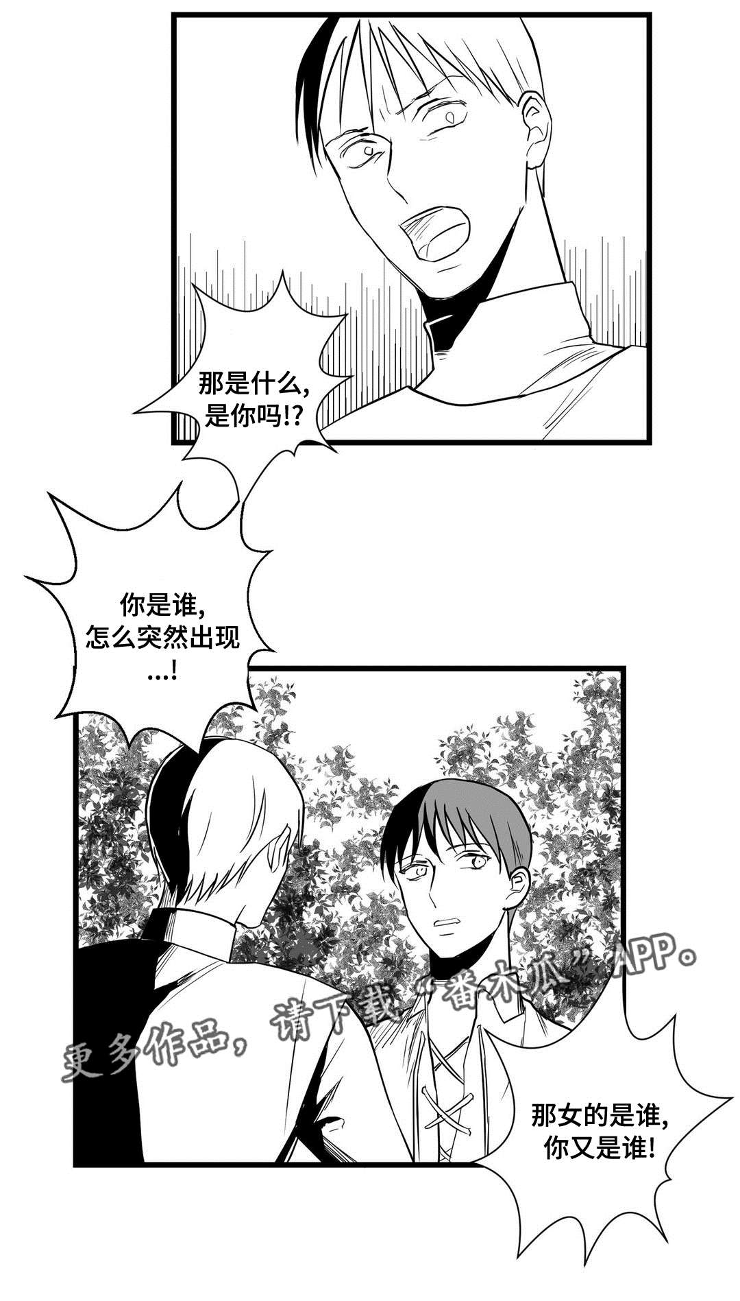 《巫师与王子》第27章犯人 第4页