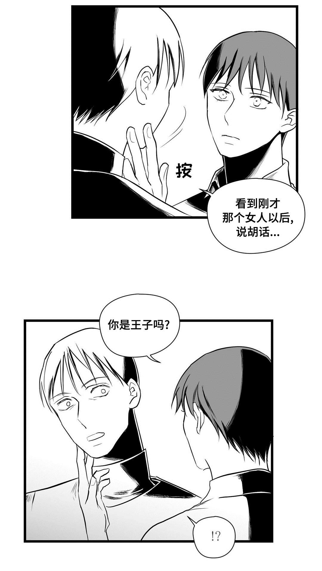 《巫师与王子》第27章犯人 第5页