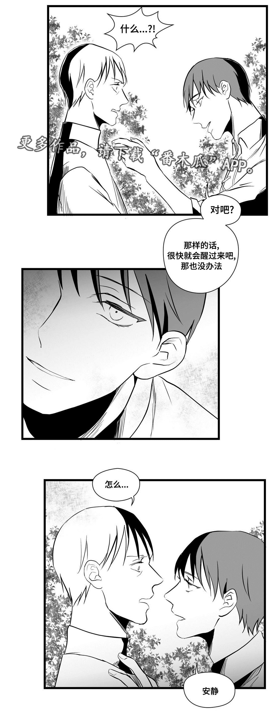 《巫师与王子》第27章犯人 第6页