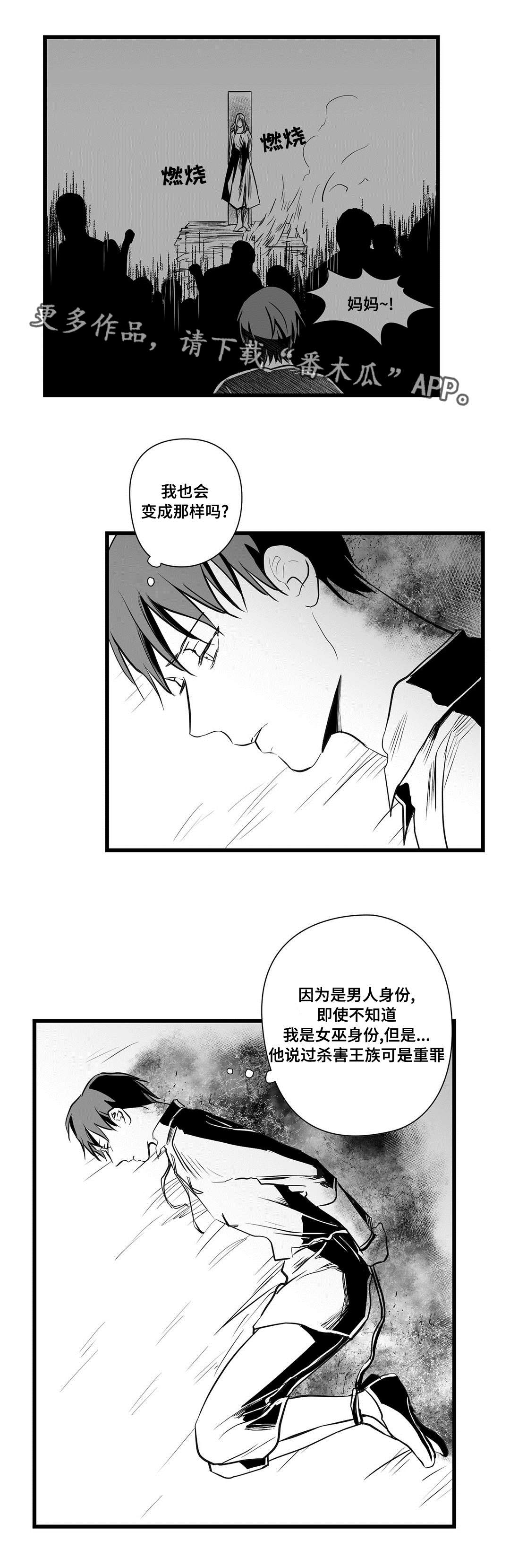 《巫师与王子》第29章抛弃 第4页