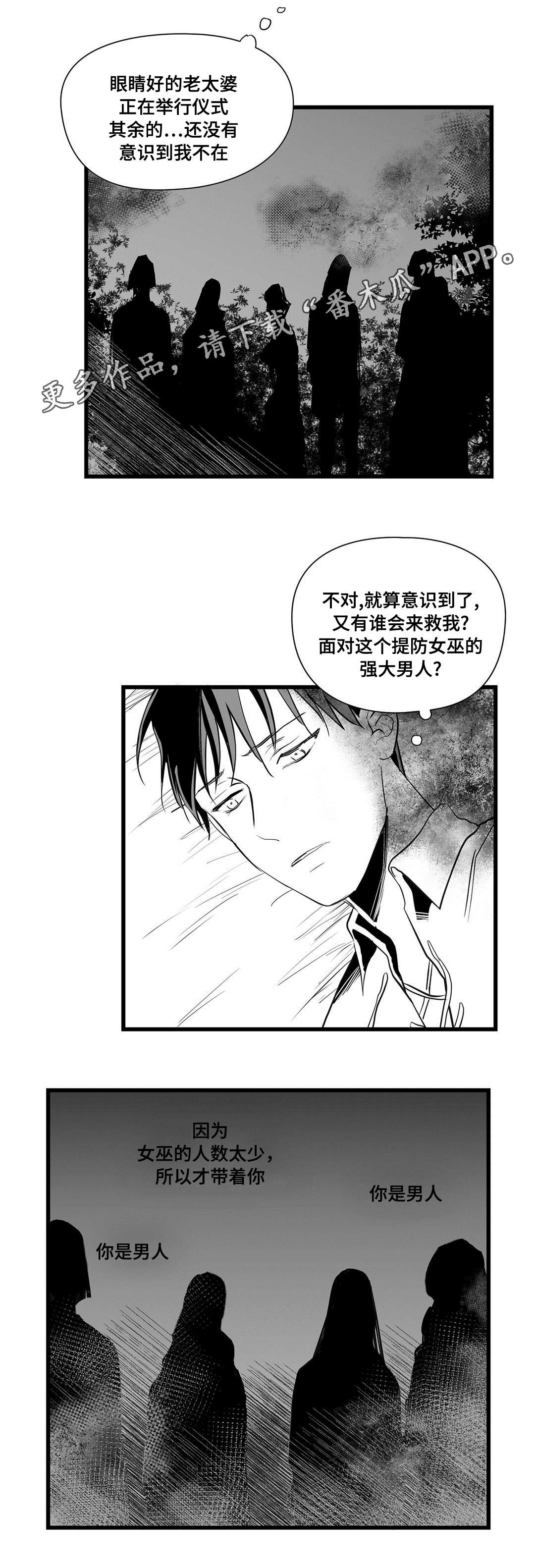 《巫师与王子》第29章抛弃 第5页