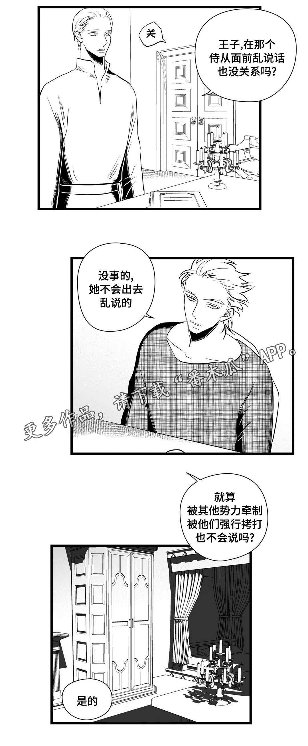 《巫师与王子》第30章监狱 第13页
