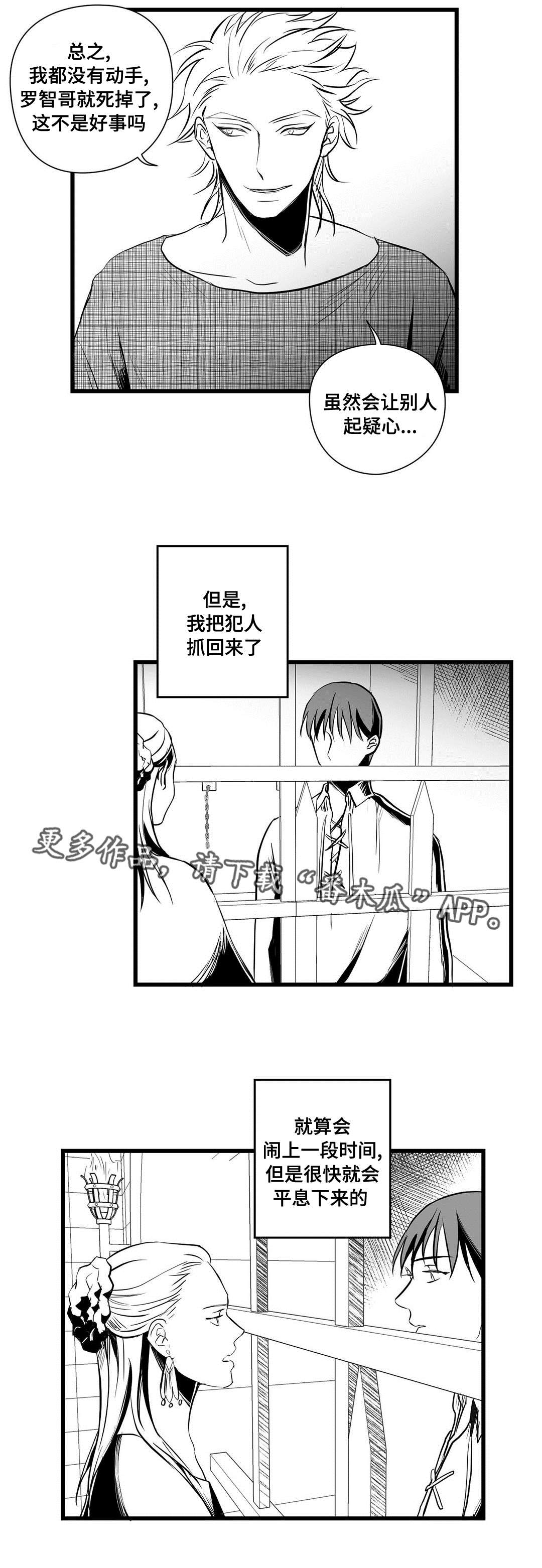 《巫师与王子》第30章监狱 第15页