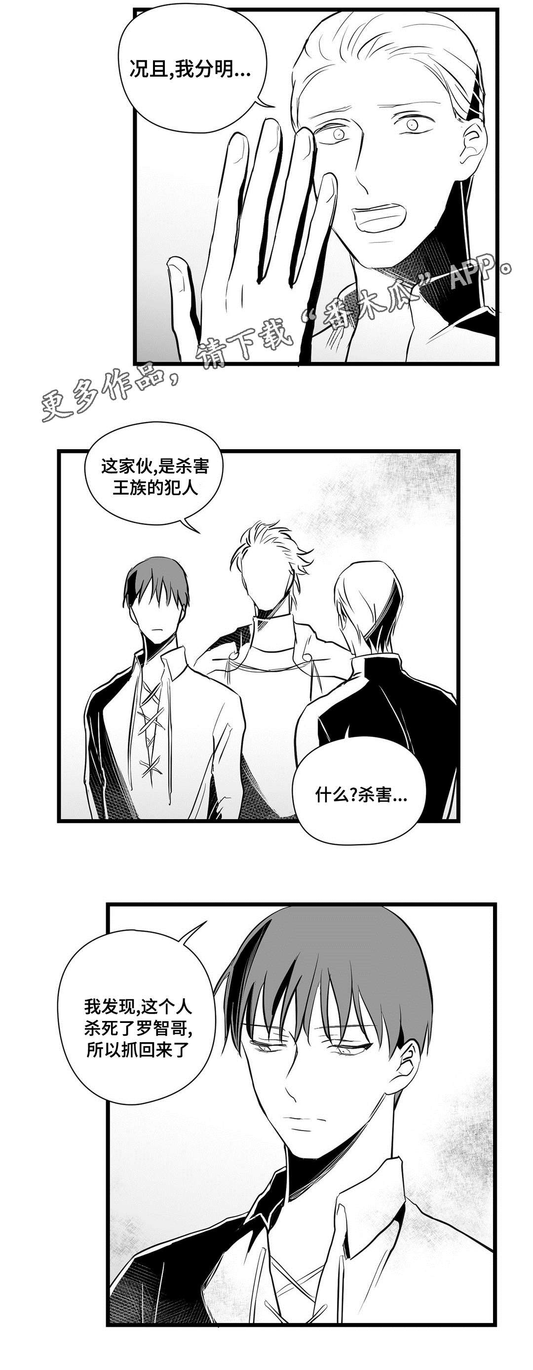 《巫师与王子》第30章监狱 第2页